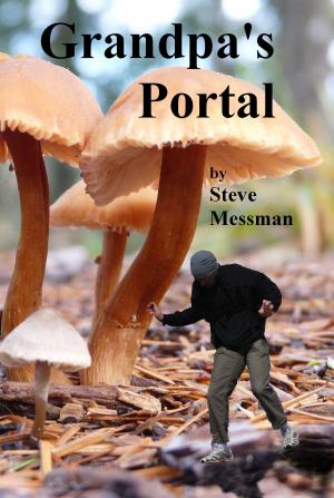 Book cover of Grandpa's Portal