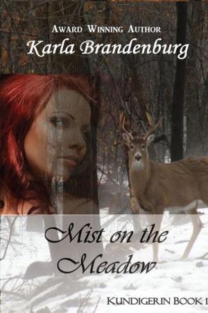 Cover of the book Mist on the Meadow by L. Charles Grant