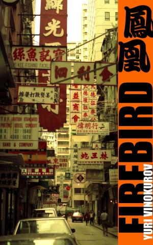Cover of the book Firebird by Rohan McClure