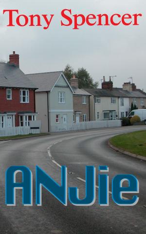 Cover of the book ANJie by Tony Spencer