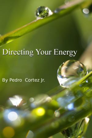 Cover of the book Directing Your Energy by Martin Luther, Charles Read