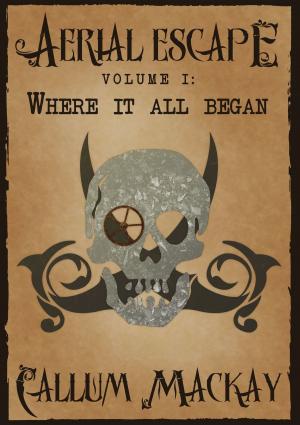Cover of the book Aerial Escape: Volume I - Where It All Began by Brian Darr