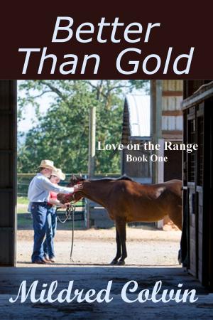 Cover of the book Better Than Gold by Sheri Fink