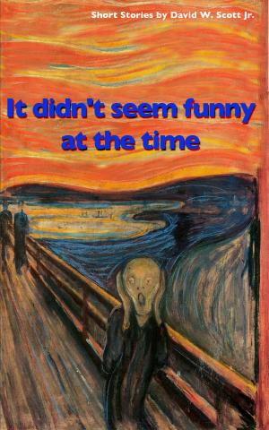 Cover of the book It Didn't Seem Funny At The Time by Maurice Leblanc