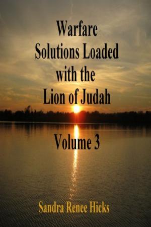 Cover of the book Warfare Solutions Loaded with the Lion of Judah: Volume 3 by Andreas Schmidt, Ignaz Brosa