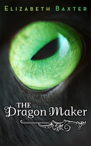 Book cover of The Dragon Maker