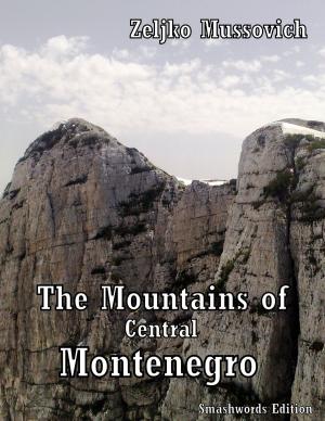 Cover of The Mountains of Central Montenegro