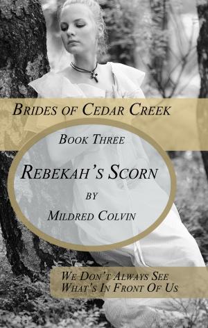 Cover of the book Rebekah's Scorn by Tracy Higley