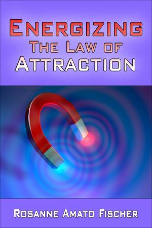 bigCover of the book Energizing The Law Of Attraction by 