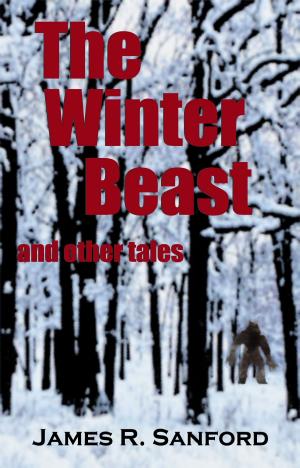 Cover of the book The Winter Beast and other tales by Chris Butler