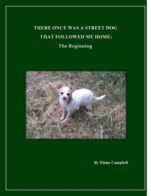 Cover of the book Once There Was A Street Dog That Followed Me Home: The Beginning by Madison Woods