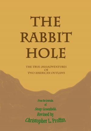 Cover of the book The Rabbit Hole by Stephanie Reents