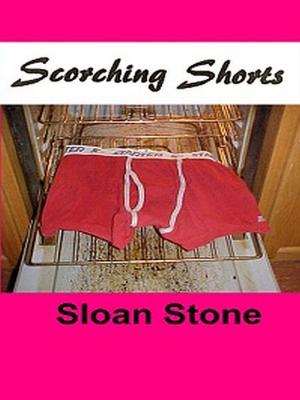 Cover of the book Scorching Shorts by Kara Salem