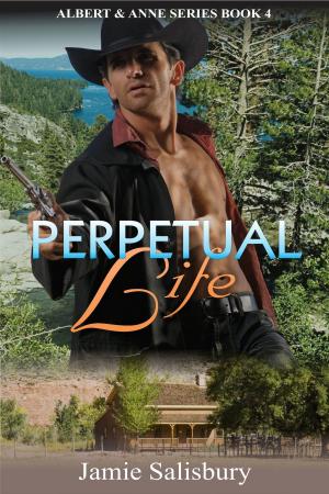 Cover of the book Perpetual Life by J R Salisbury