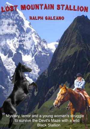 Cover of the book Lost Mountain Stallion by GuyBlythman