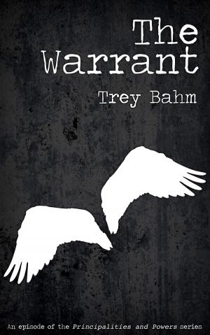 Cover of the book The Warrant by Paul Andrulis