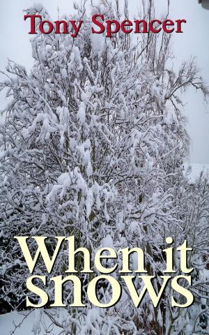 Book cover of When it Snows
