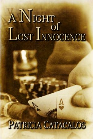 Book cover of A Night of Lost Innocence