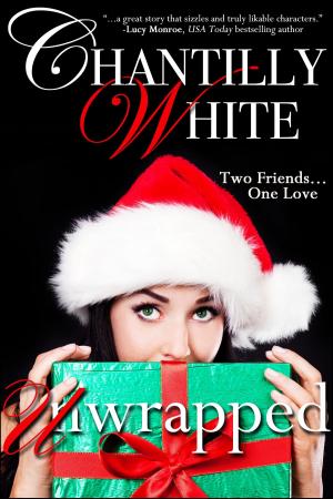 Cover of the book Unwrapped by Andra Lake