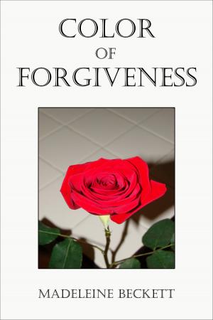 Cover of the book Color of Forgiveness by Hailey North