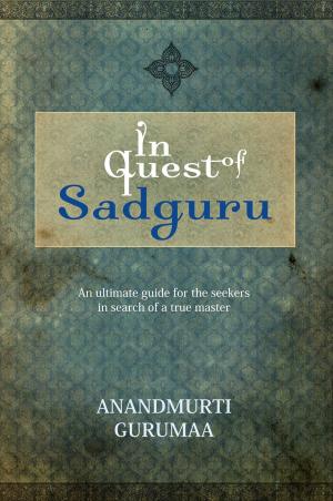 Cover of the book In Quest of Sadguru by Marie-Aurore