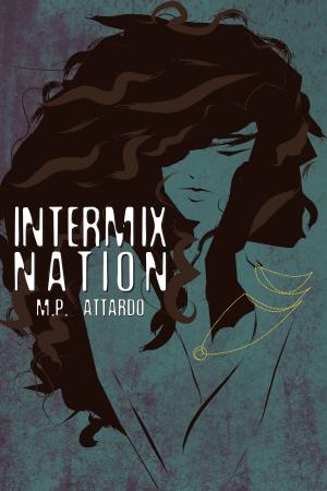 Cover of the book Intermix Nation by Nancy Kay