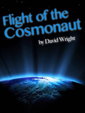 Cover of the book Flight of the Cosmonaut by Ashley Fetterman