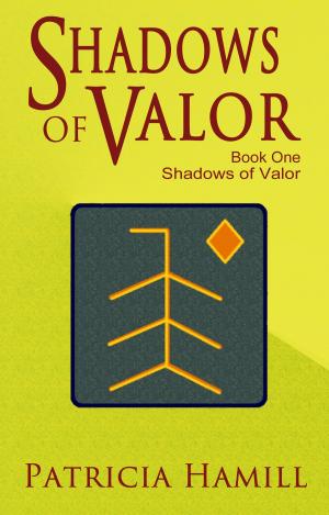 Book cover of Shadows of Valor
