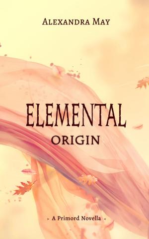 Cover of the book Elemental: Origin by Jerry McKinney