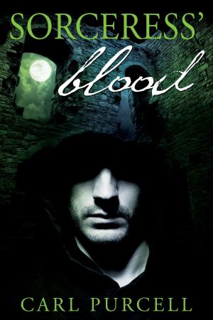 Cover of the book Sorceress' Blood by Shaun Allan