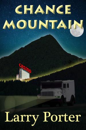 Cover of the book Chance Mountain by Clington Quamie
