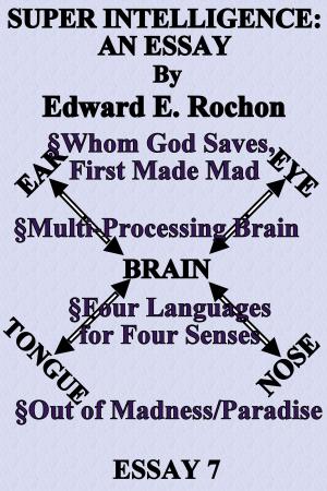 Cover of the book Super Intelligence: An Essay by Edward E. Rochon
