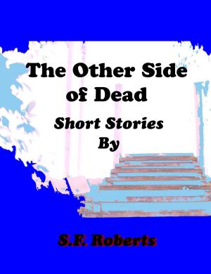 Book cover of The Other Side of Dead