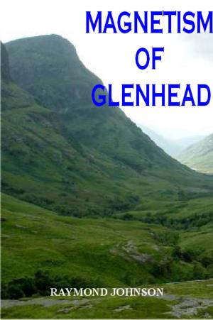 Cover of the book Magnetism of Glenhead by Carter Hoff