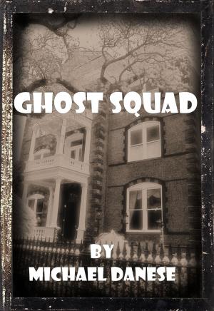 Cover of the book Ghost Squad by V.K. Scott