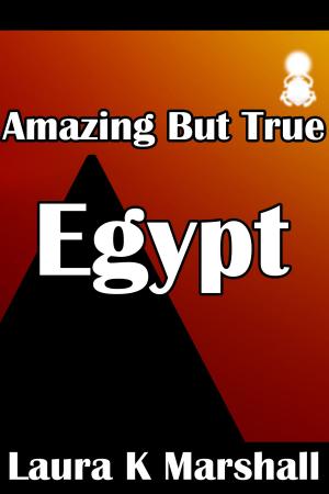 Book cover of Amazing but True: Egypt Book 4