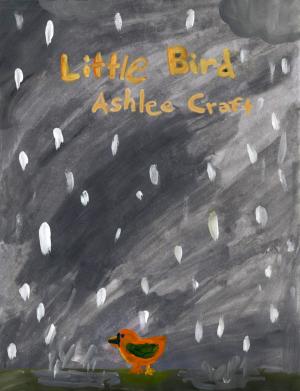 Book cover of Little Bird