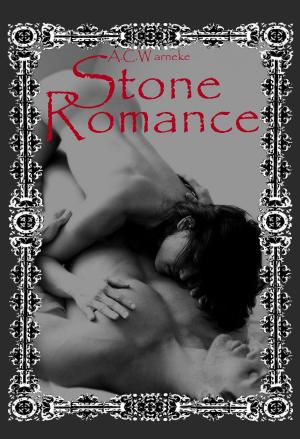 Cover of the book Stone Romance by Lowell Volk