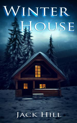 bigCover of the book Winter House by 