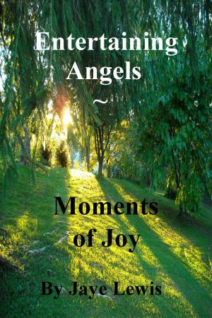 Book cover of Entertaining Angels ~ Moments of Joy