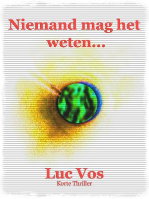 Cover of the book Niemand mag het weten... by Luc Vos