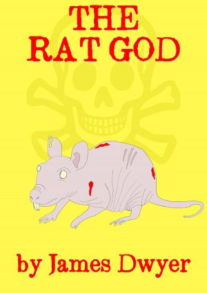 Cover of the book The Rat God by Lisa Kime