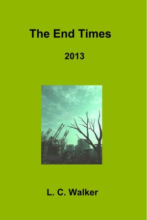 Cover of the book The End Times 2013 by Kenneth Anderson