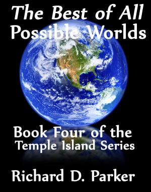 Cover of the book The Best of all Possible Worlds by DJ Huns