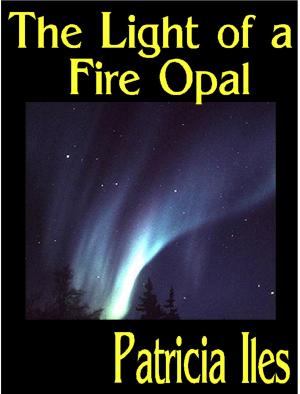 Cover of the book The Light of a Fire Opal by Janet Heads