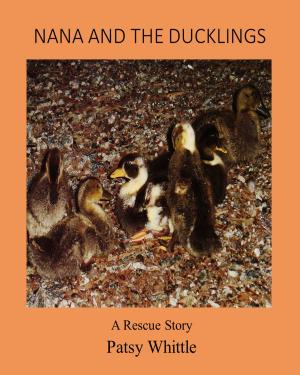 Cover of the book Nana and The Ducklings by Stuart Taylor