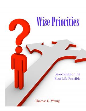 Cover of the book Wise Priorities by Jorge Lomar