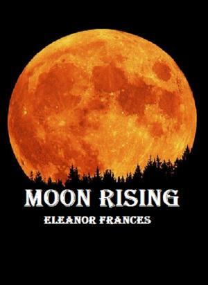 Cover of the book Moon Risings by PJ Tye