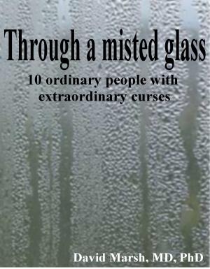 Book cover of Through a Misted Glass