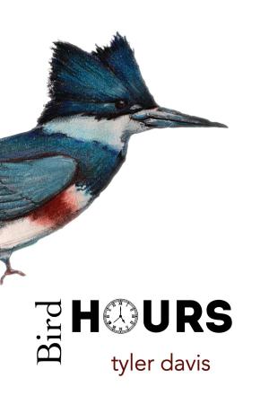 Book cover of Bird Hours